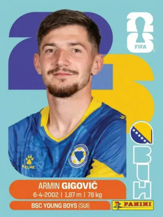 110 - BIH 10