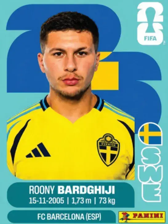 456 - SWE 16